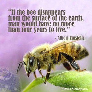 Save-the-Bees